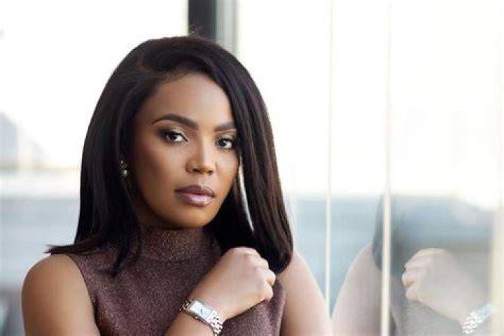 'Tsotsi' Star Terry Pheto's Luxury Bryanston House Caught in Lotto Fraud Scandal to Be Auctioned, SIU Confirms
