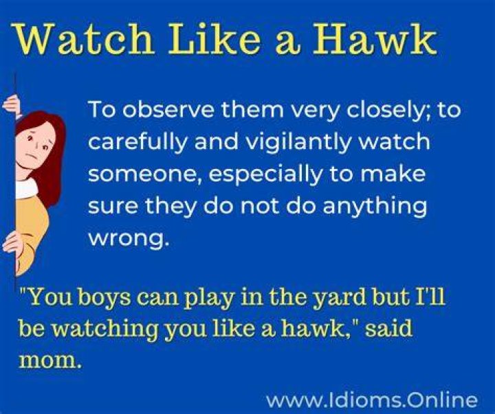 'Watching you like a hawk': Judge's message for domestic abuser