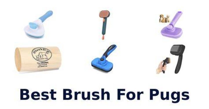 10 Best Brushes for Pugs in 2024 - Reviews & Top Picks