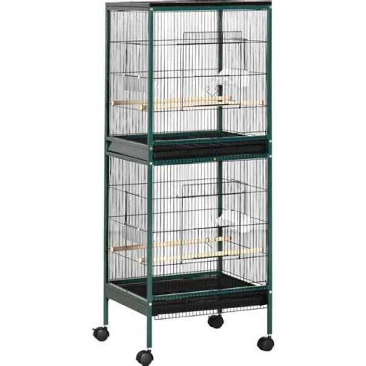 10 Best Budgie Cages in 2024 - Reviews & Top Picks