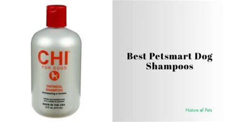 10 Best Dog Shampoos at PetSmart in 2024 - Reviews & Top Picks