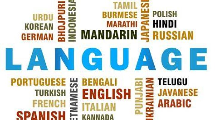10 Best Foreign Languages to Learn Abroad in 2019