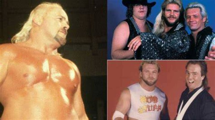 10 Best Wrestling Territory Heels Of The 1980s, Ranked