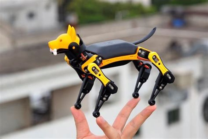 10 Cool Dog Gadgets for High-Tech Pooches