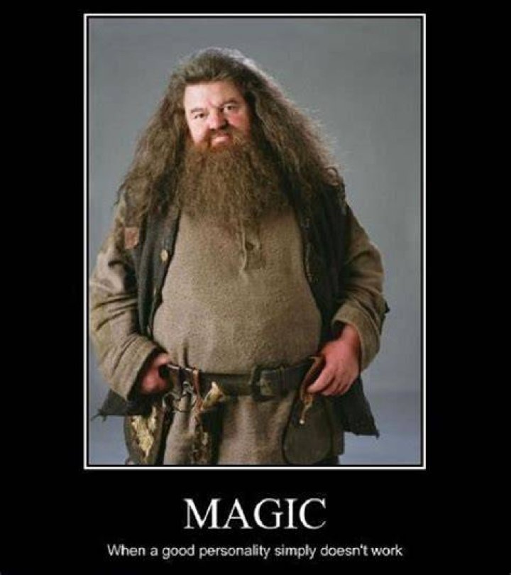 10 Hilarious Hagrid Logic Memes That Are Too Funny