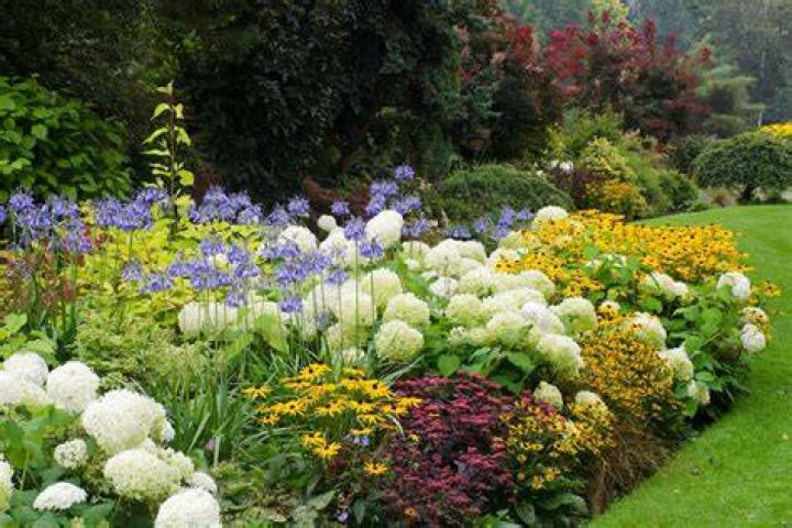 10 Shrubs That Add Seasonal Color To Your Garden