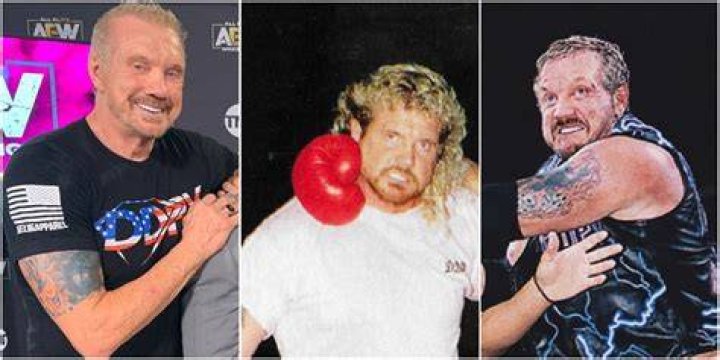 10 Things Most Fans Forget About Diamond Dallas Page's Career
