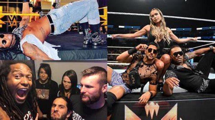 10 Things You Didn't Know About The WWE Stable Maximum Male Models