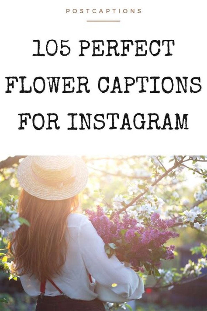 105 Best Flower Captions for Instagram
