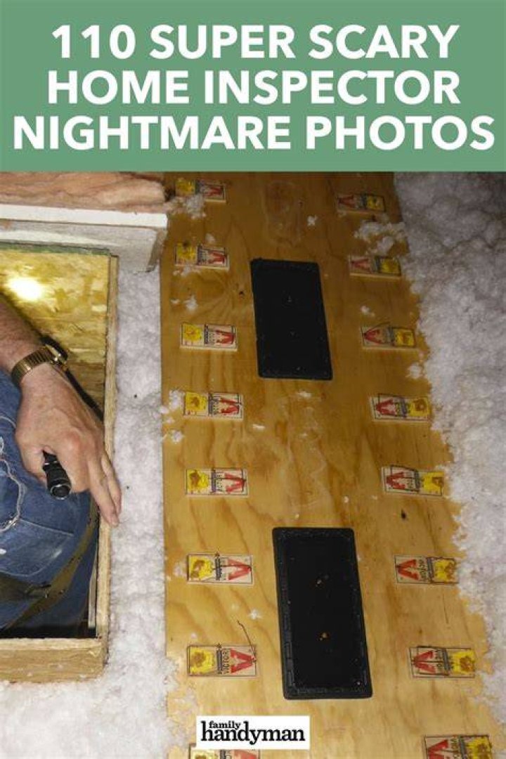 110 Super Scary Home Inspector Nightmare Photos
