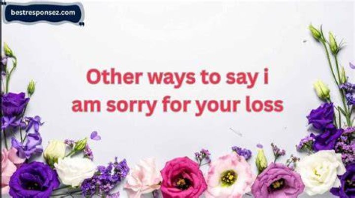 12 Best I Am Sorry Quotes Inspirational I Am Sorry Quotes & Sayings