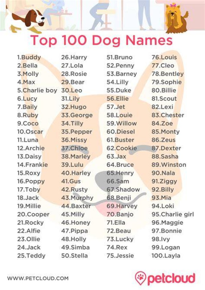 150+ Great Dog Names: Popular & Top Ranked Names in 2024