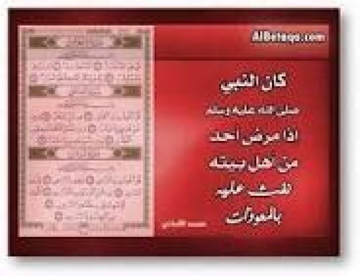 دراسة جدوى زراعة نباتات طبية وعطرية دراسة جدوى زراعة نباتات طبية وعطرية