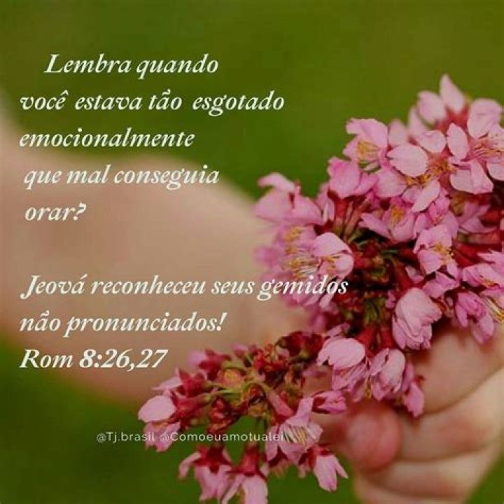 1,589 curtidas, 91 coment&aacute;rios Gabriela (gabimfmoura) no Instagram
