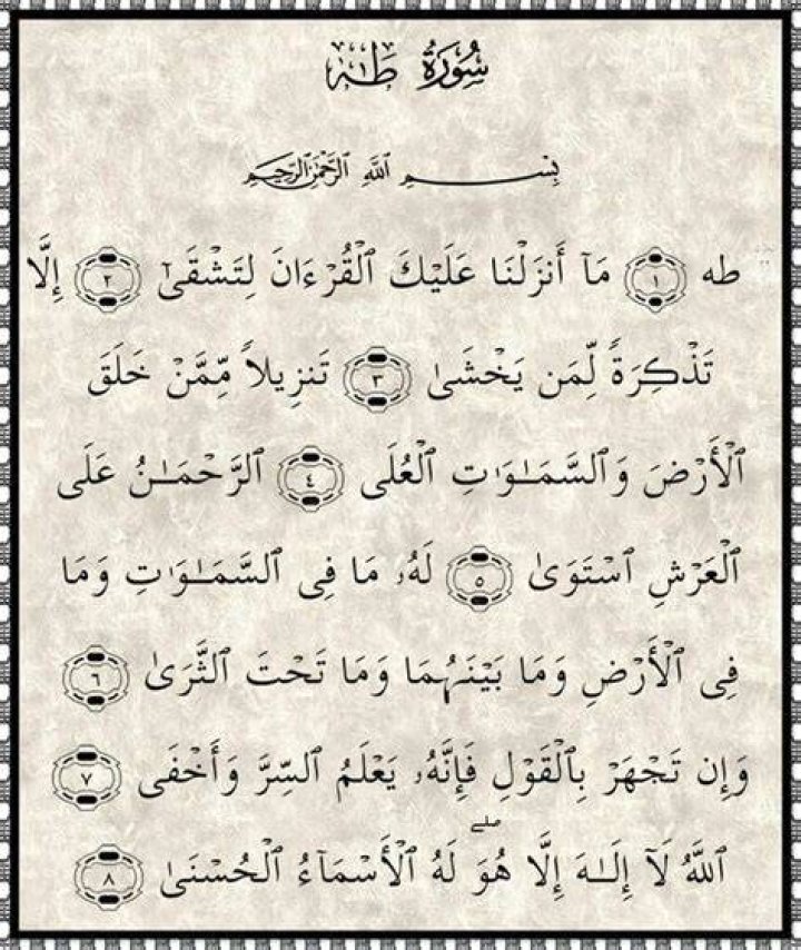 فضل قراءة سورة فصلت