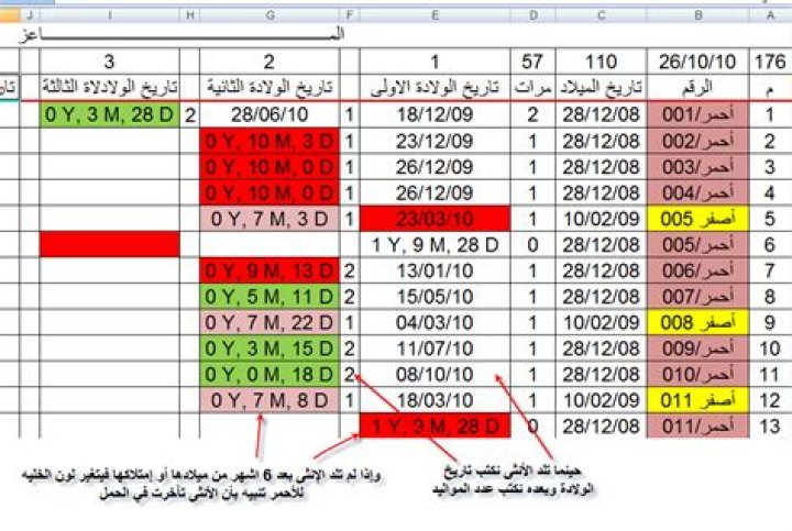 أفكار مشروع براس مال مليون جنيه مشروع برأس مال مليون جنيه 2024.. 6 أفكار مضمونة