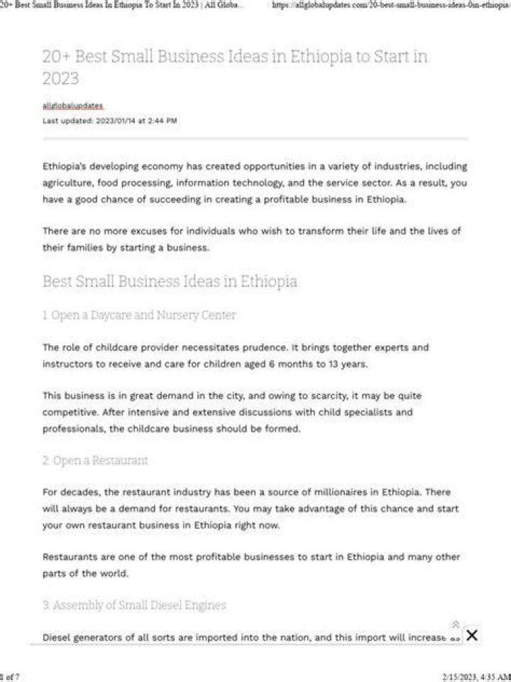 20+ Best Small Business Ideas In Ethiopia To Start In 2023