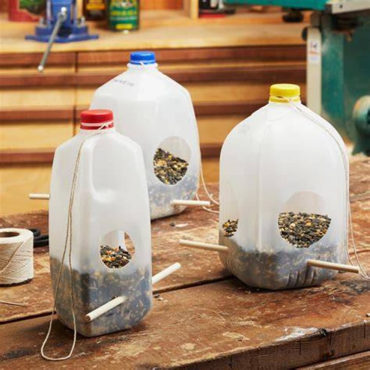 20 Tips and Tricks for Reusing Bottles and Cans