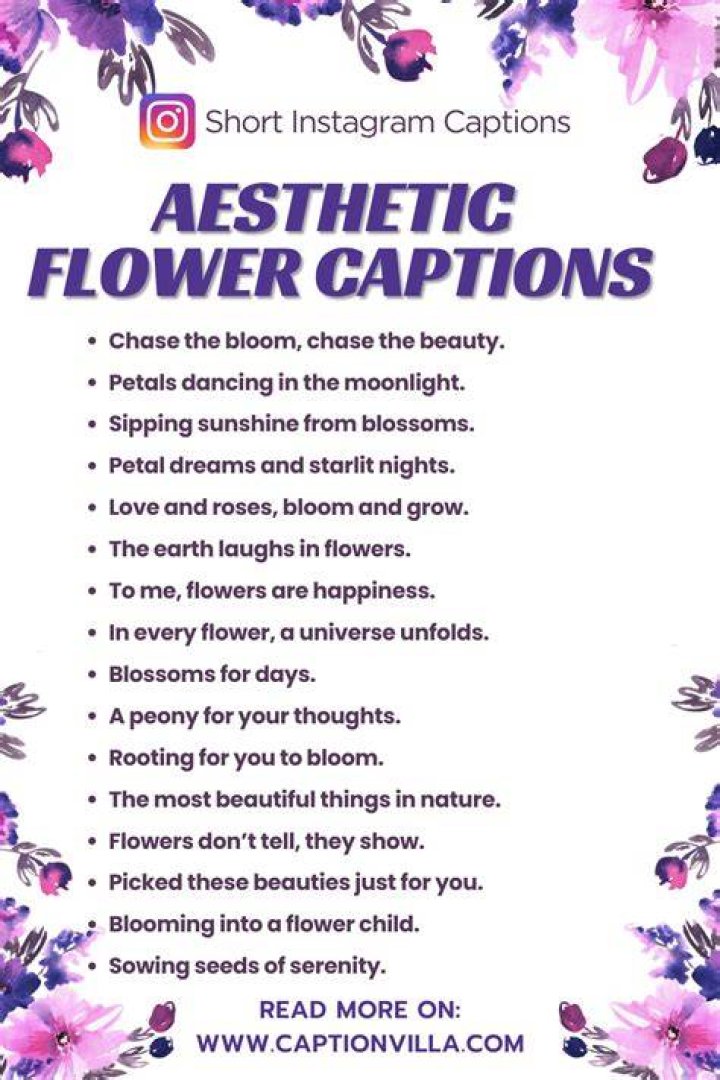 2024&rsquo;s Enchanting Flower Captions for Your Instagram Snapshots