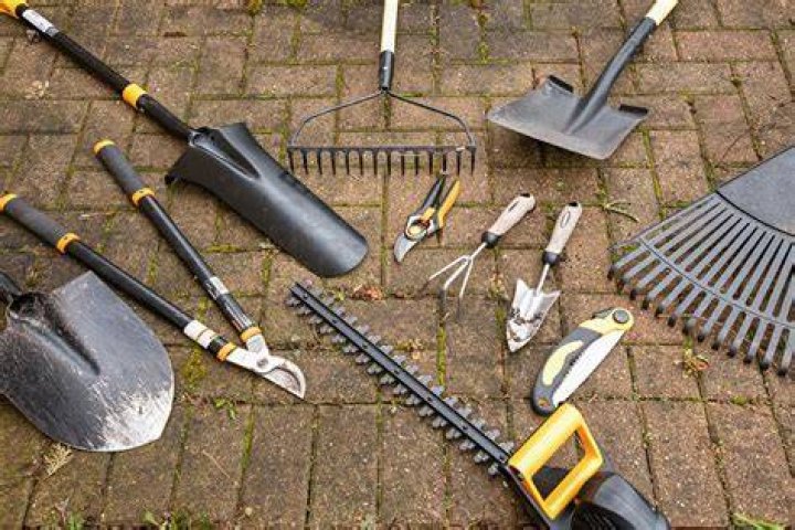 22 Yard Tools You Should Get Your Hands On This Fall