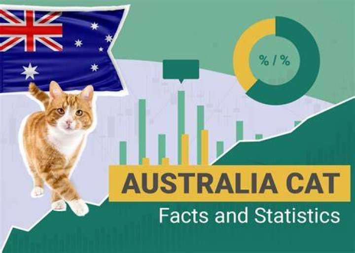 24 Australia Cat Statistics All Pet Lovers Should Know in 2024