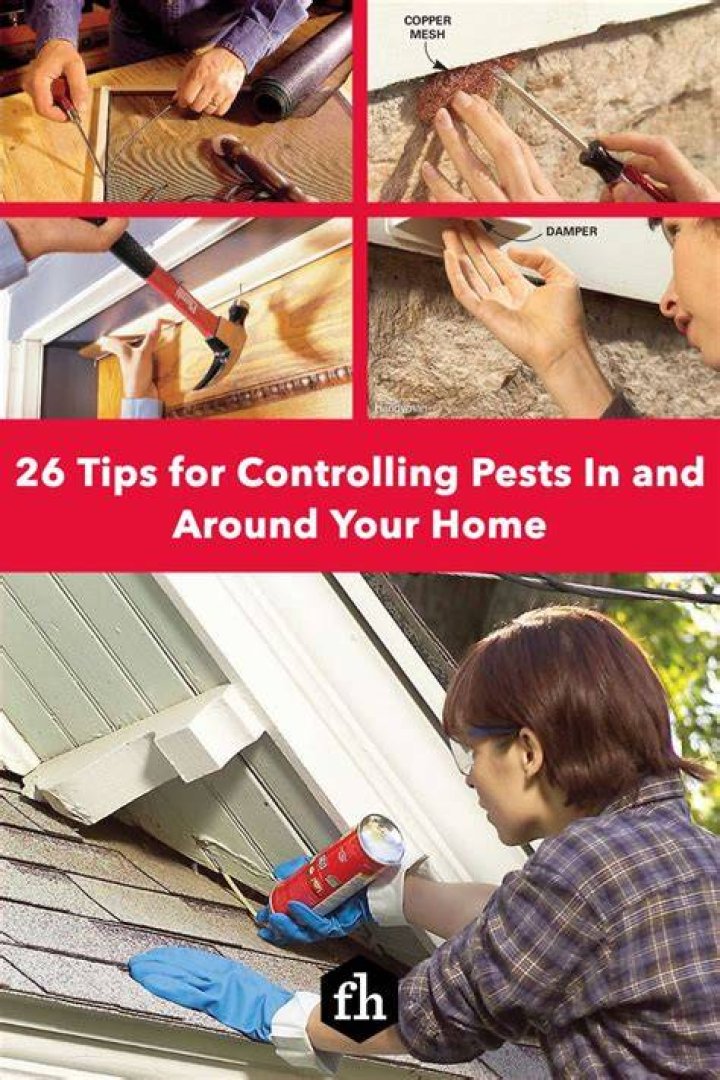 26 Tips for Controlling Pests In and Around Your Home