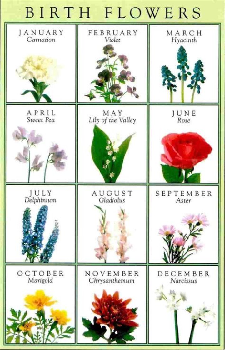 47 Cool Flowers Associated With The Zodiac Signs Home Decor
