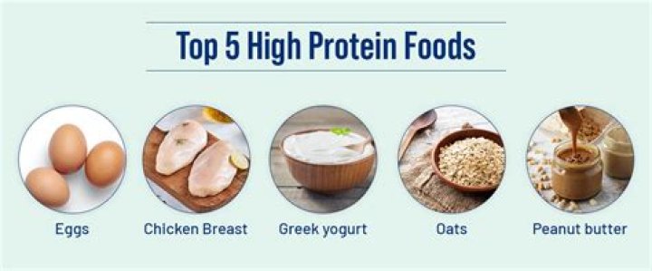 5 Best Protein Sources for Cats: Feline Diet & Health