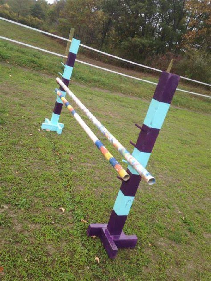5 DIY Horse Jumps You Can Build Today (With Pictures)