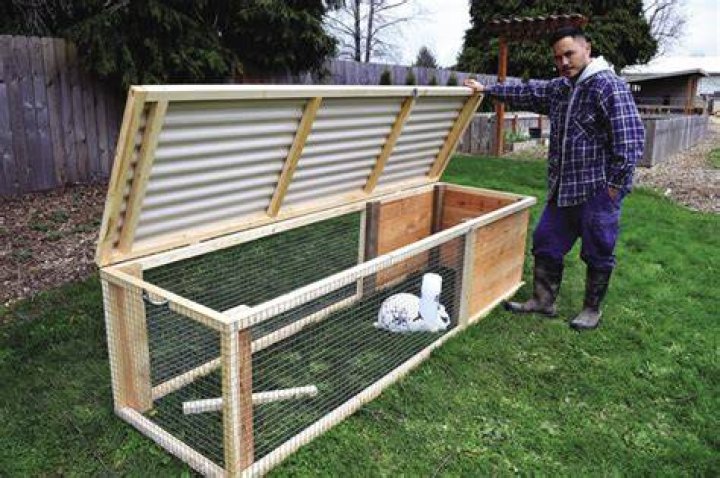 5 DIY Rabbit Run Plans You Can Build Today (With Pictures)