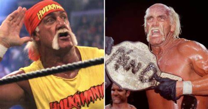 5 Reasons Hulk Hogan Is Better As A Babyface (& 5 He Was Better As A Heel)