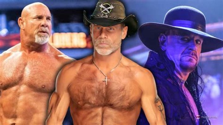 5 Superstars That Shawn Michaels Loved Working With (& 5 He Struggled With)