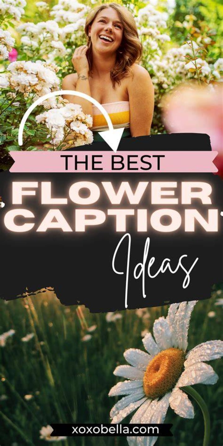 50 Instagram Captions for Flower Pics that will have your Insta