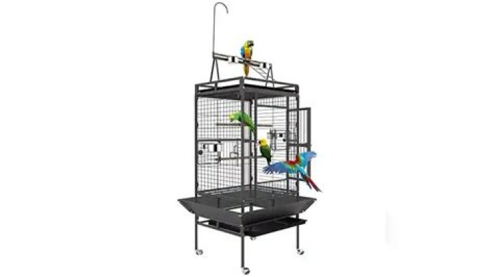7 Best Bird Cages for Macaws in 2024 - Reviews & Top Picks