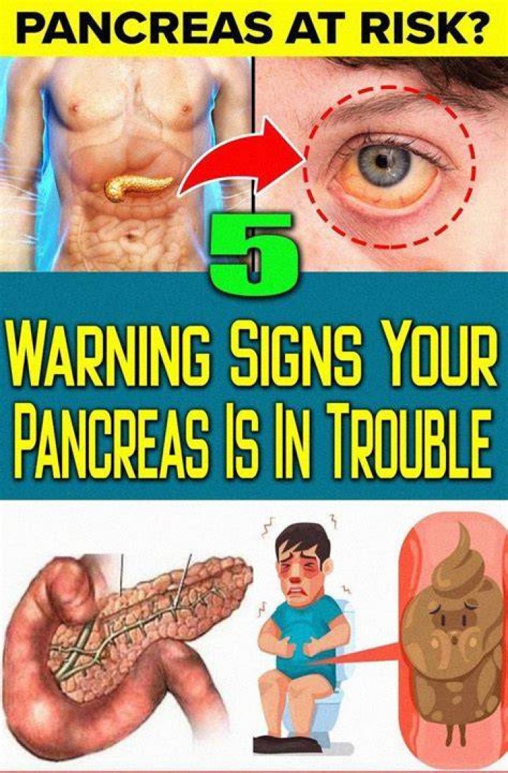 7 Warning Signs Your Pancreas Is In Trouble