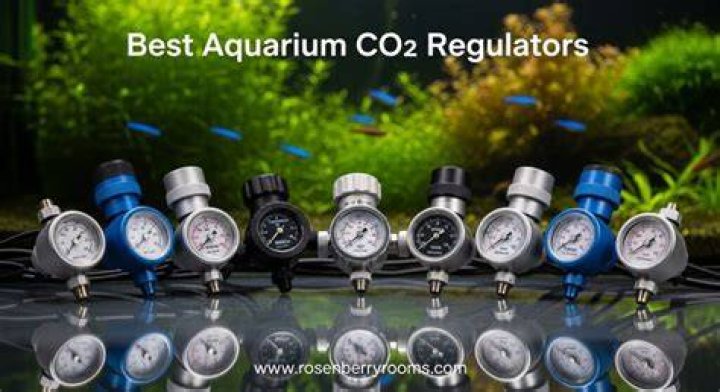 8 Best Aquarium CO2 Regulators of 2024 - Reviews & Top Picks