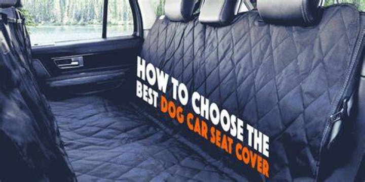 8 Best Dog Car Seat Covers for Easier Cleaning