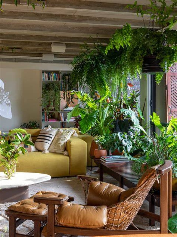 8 Indoor Garden Ideas To Elevate Your Home