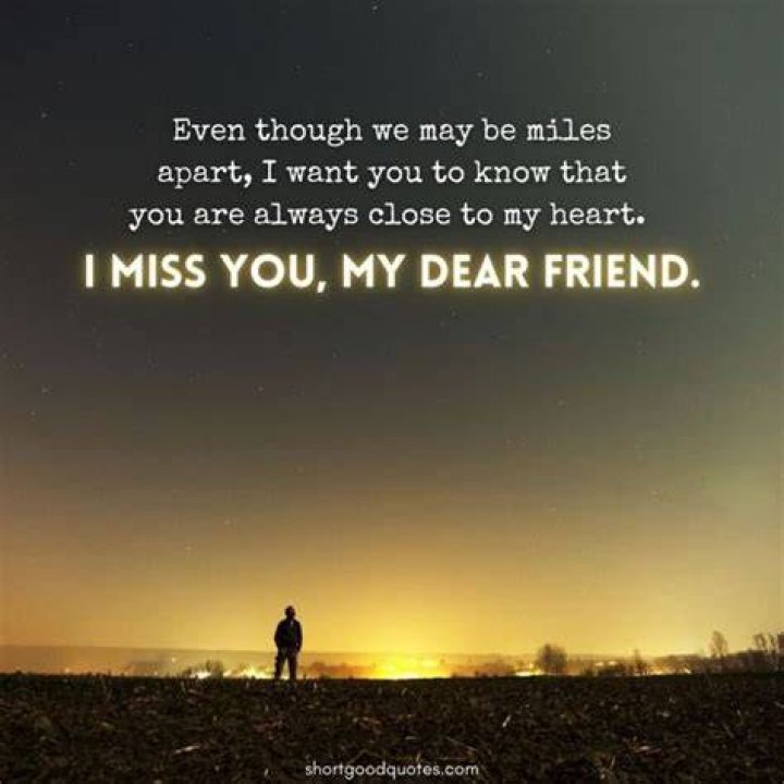 80+ Miss You Messages and Quotes WishesMsg