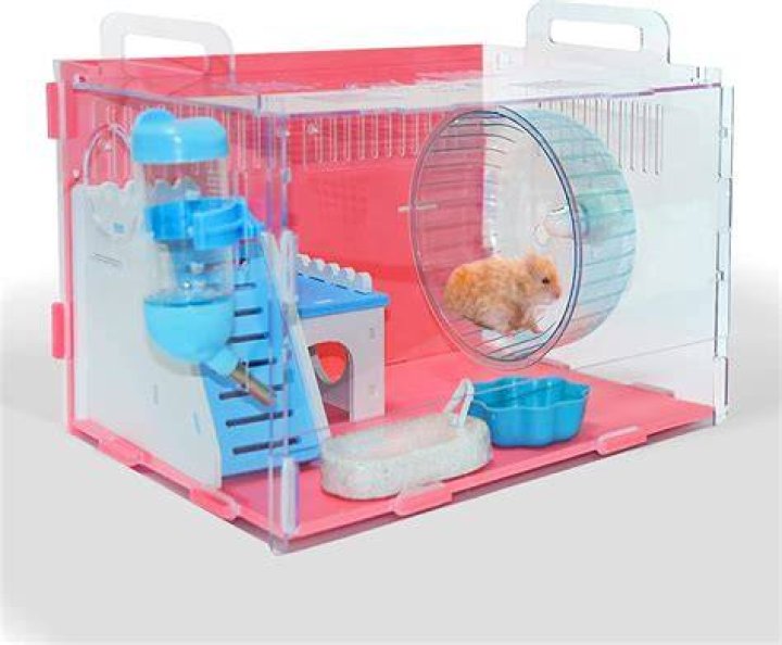9 Best Hamster Cages in 2024 - Reviews & Top Picks