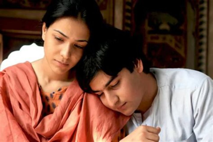 9 Pakistani Sexy Movies List for 2024 (18+ Only)