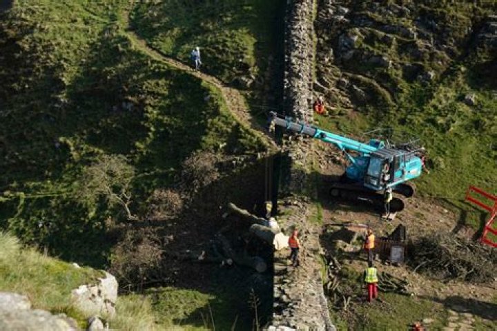 A crane removes the felled Sycamore Gap tree, on Hadrian's Wall on October 1. One of the UK’s most photographed trees was “deliberately felled” last month in an apparent act of vandalism, authorities have said. Photo / AP