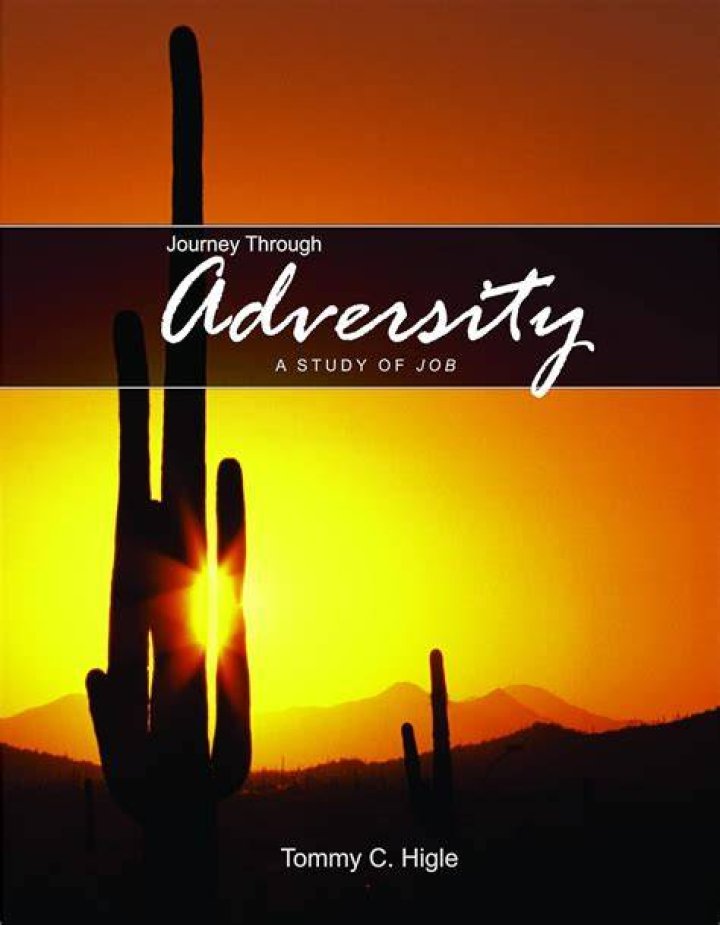 A Journey Through Adversity The Aubreigh Wyatt Story Molly