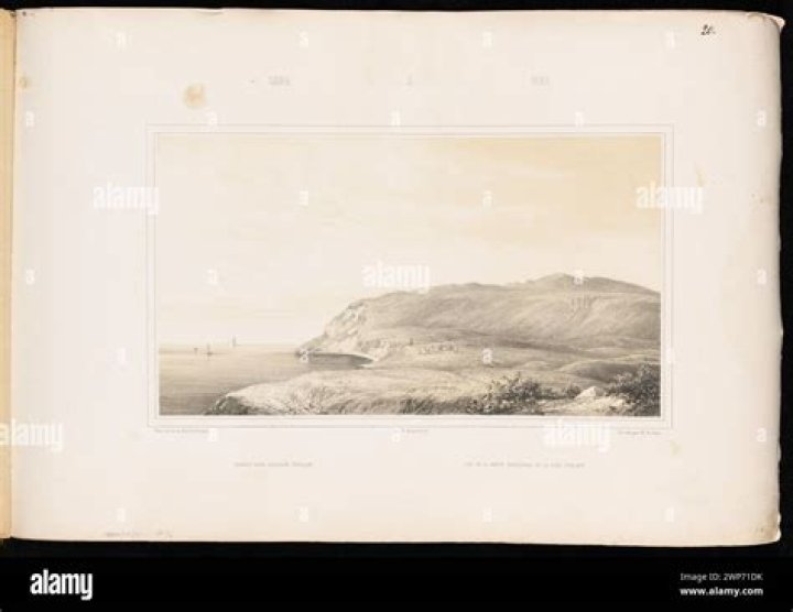 A lithographic plate showing a woman purchasing ambergris as perfume. Photo / Graphic Illustrations of Animals