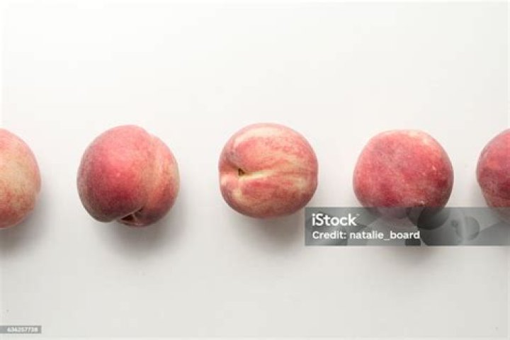 A row of white peaches on white surface a row of white peaches on white surface