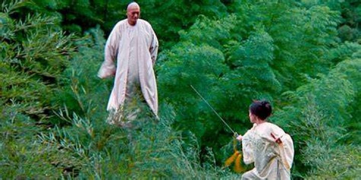 A scene from Crouching Tiger, Hidden Dragon Sword of Destiny