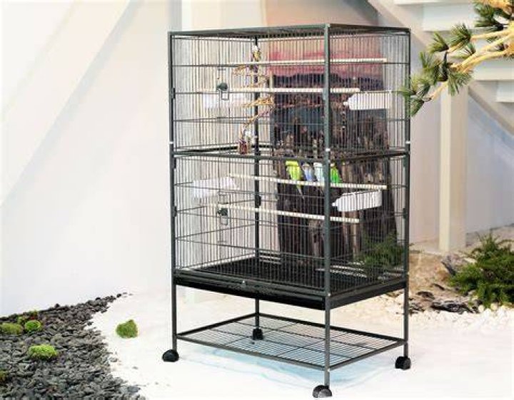 A&E Cage Company Flight Bird Cage & Stand