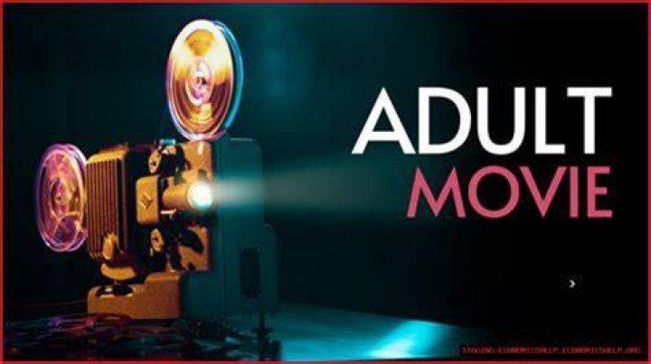 Adults Movie Rulz: The Evolution Of Adult Film Industry