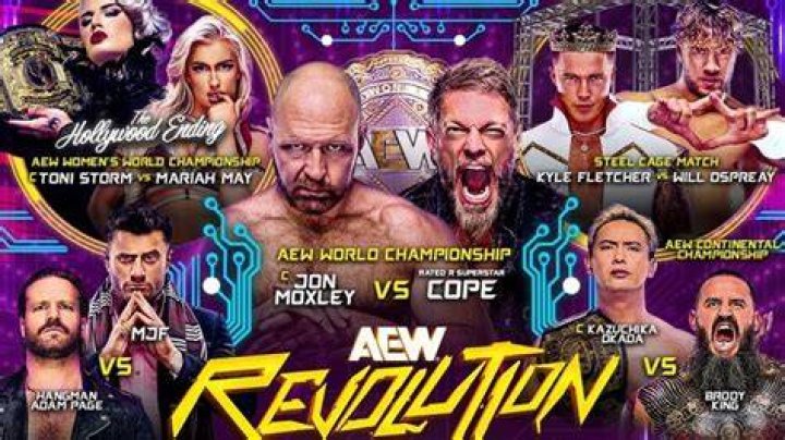 AEW Revolution 2024 Winners And Losers Sting's Last Showtime