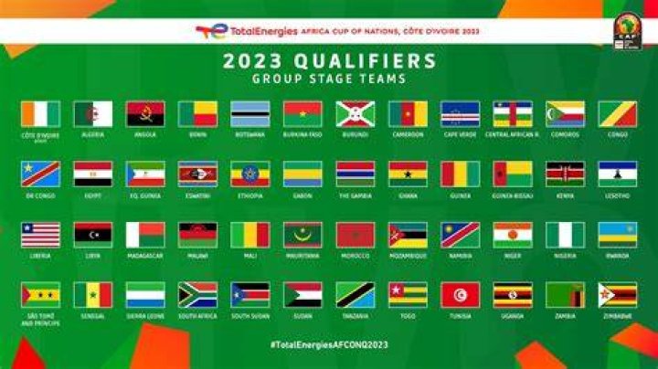 AFCON 2023 14 countries qualify for tournament Daily Post Nigeria